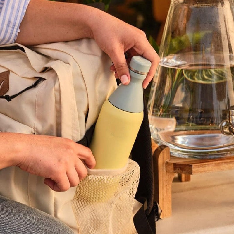 Stanley Style 20oz Slim Bottle Insulated Stainless Steel Sports Bottle Twist off Lid with Leakproof Seal for Travel & Gym_ miki